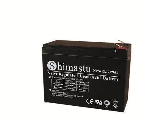 12V 9Ah Batterij Oplaadbaar