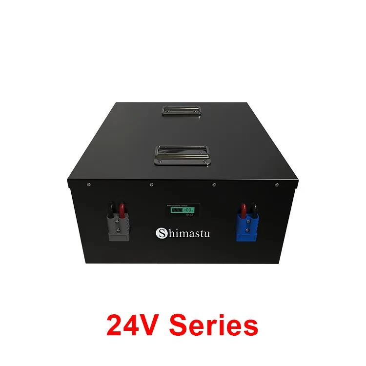 24V LiFePO4-lithiumbatterij