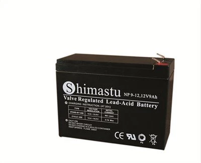 12V 9Ah Batterij Oplaadbaar