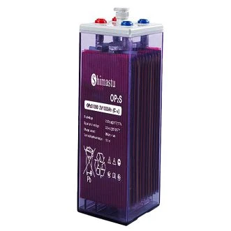 OPzS 1000 buisvormige batterij